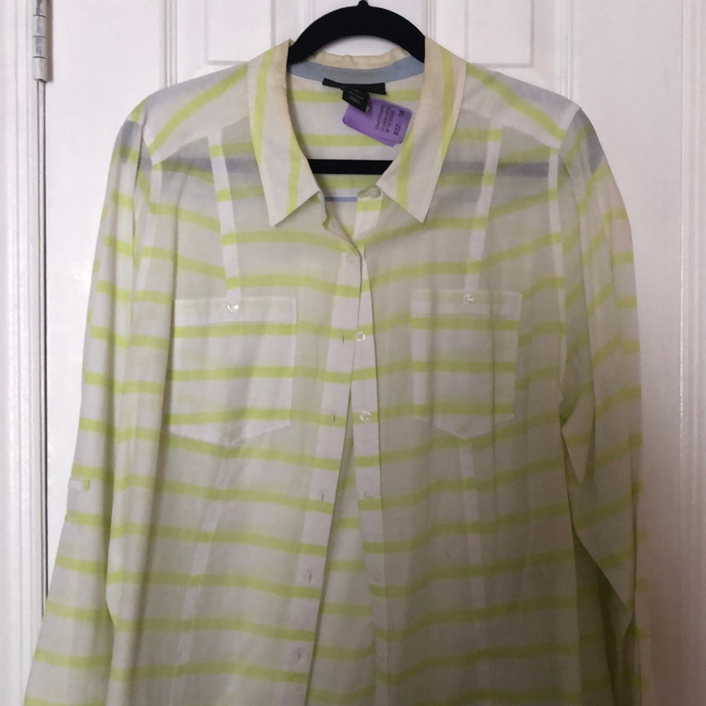 Lane Bryant